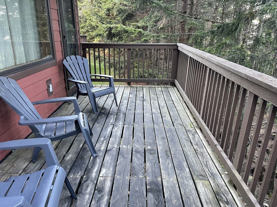 Back porch with seating for 5