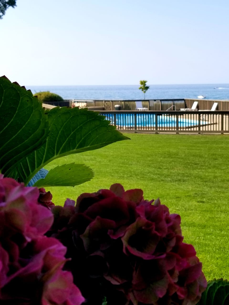 View From the Patio