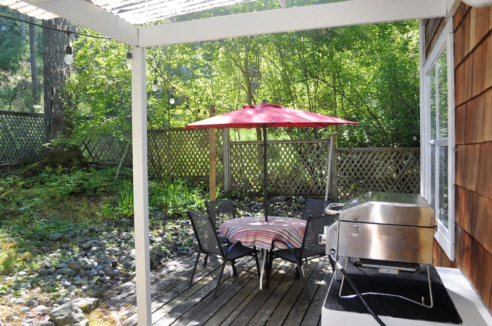Back patio with bbq
