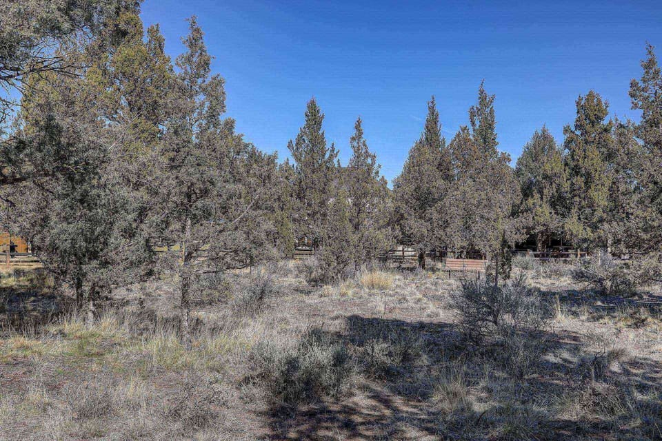 "Lovely, clean and well equipped. Best part was that it backs up to a small nature preserve so it was super quiet and we saw lots of animals" -Vanessa