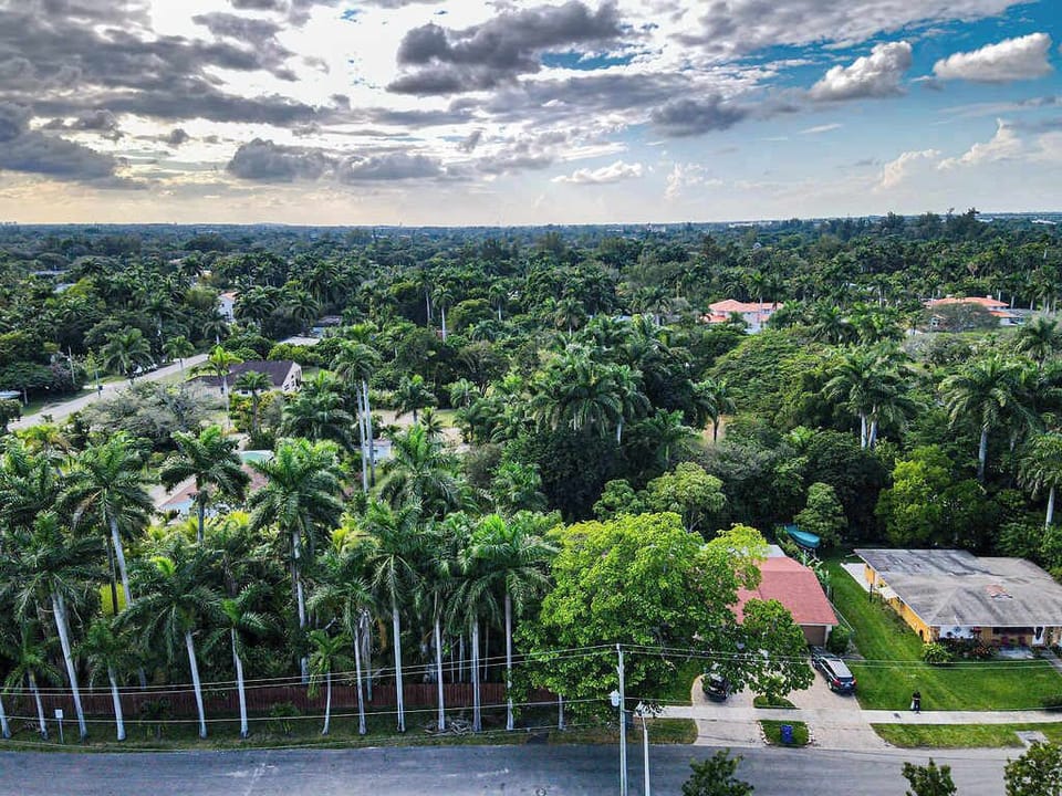Aerial view of the neighborhood.