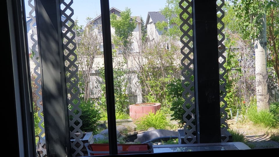 front door and patio and back garden