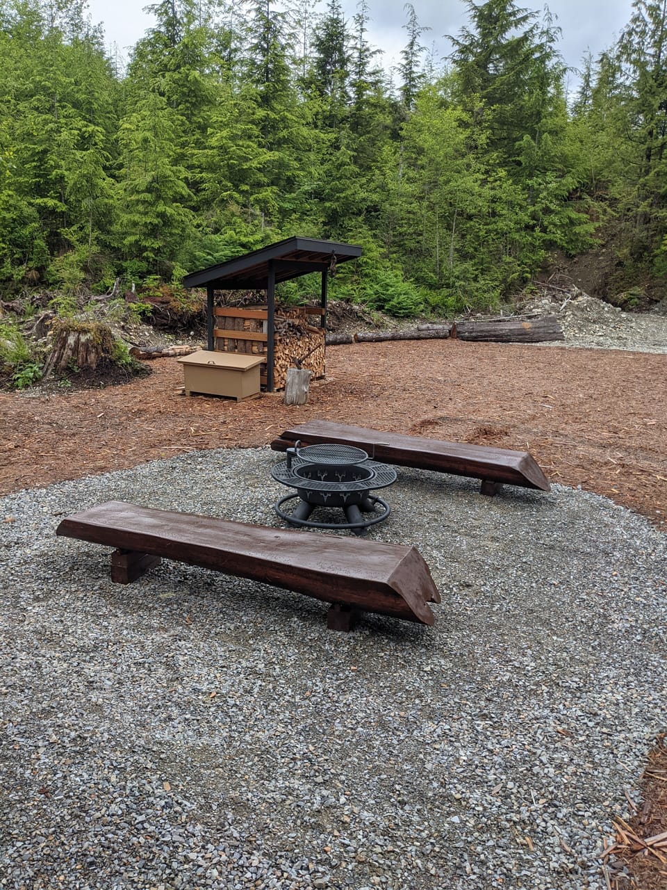 Fire pit with adjustable grill and hand hewn cedar log benches from property.