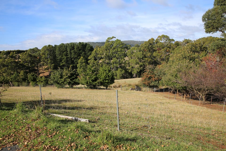 This is your view out the window