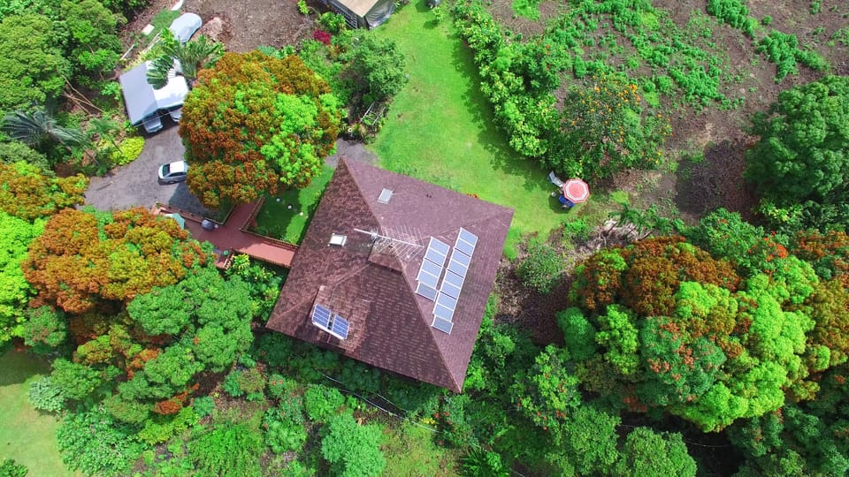 Surrounded by lush tropical greenery.