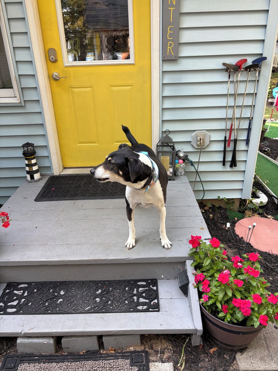 Lakeside Cove is “Dog Friendly” with a fenced yard.  (2 dogs-Maximum)