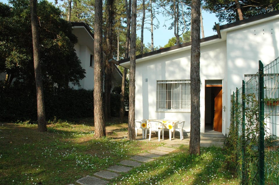 Garden. Fenced garden