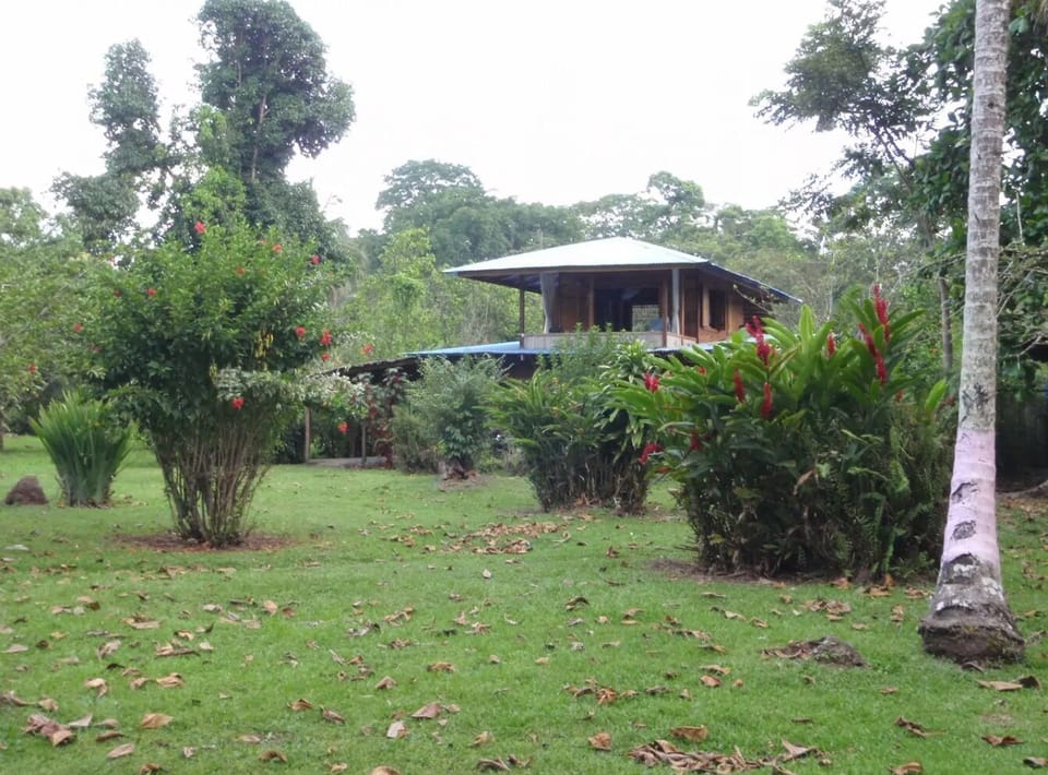 Top floor studio and bottom floor two bedroom, open, airy, and private.