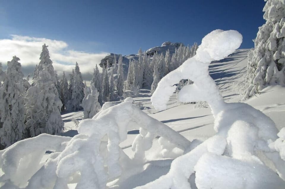 Snow and ski sports