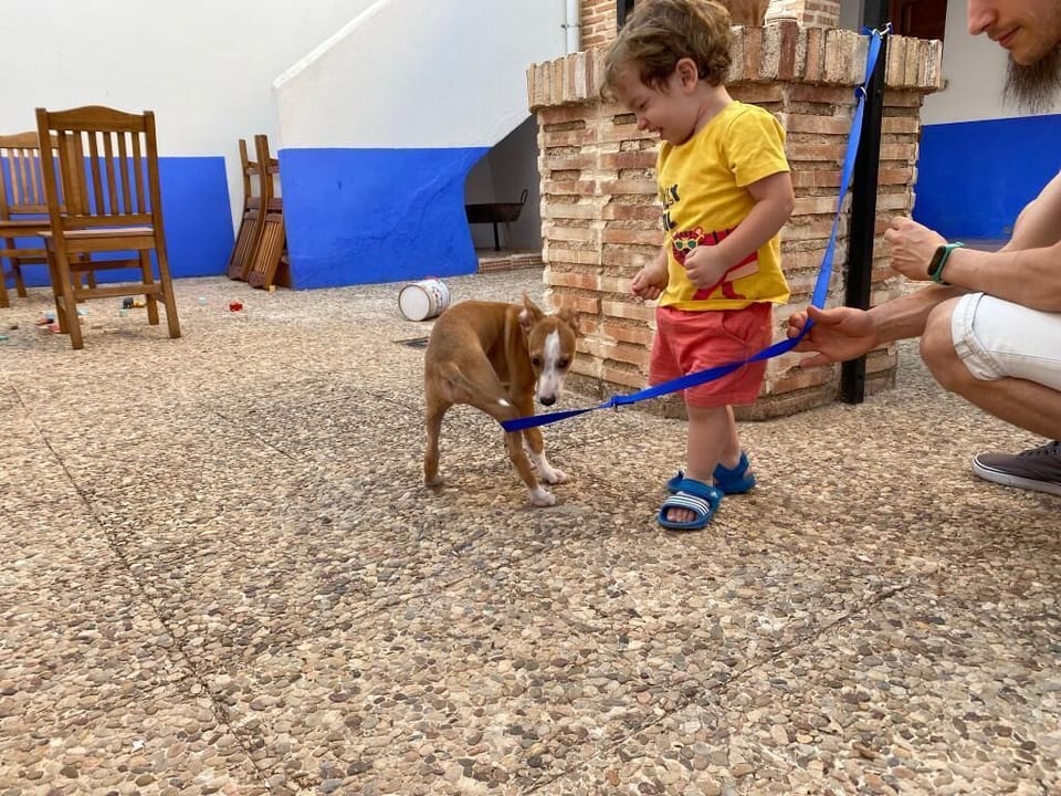 Children's area