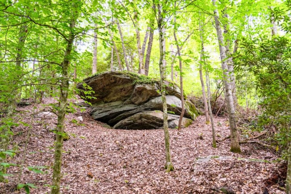 Take a break on one of our boulders or establish your own bouldering route.
