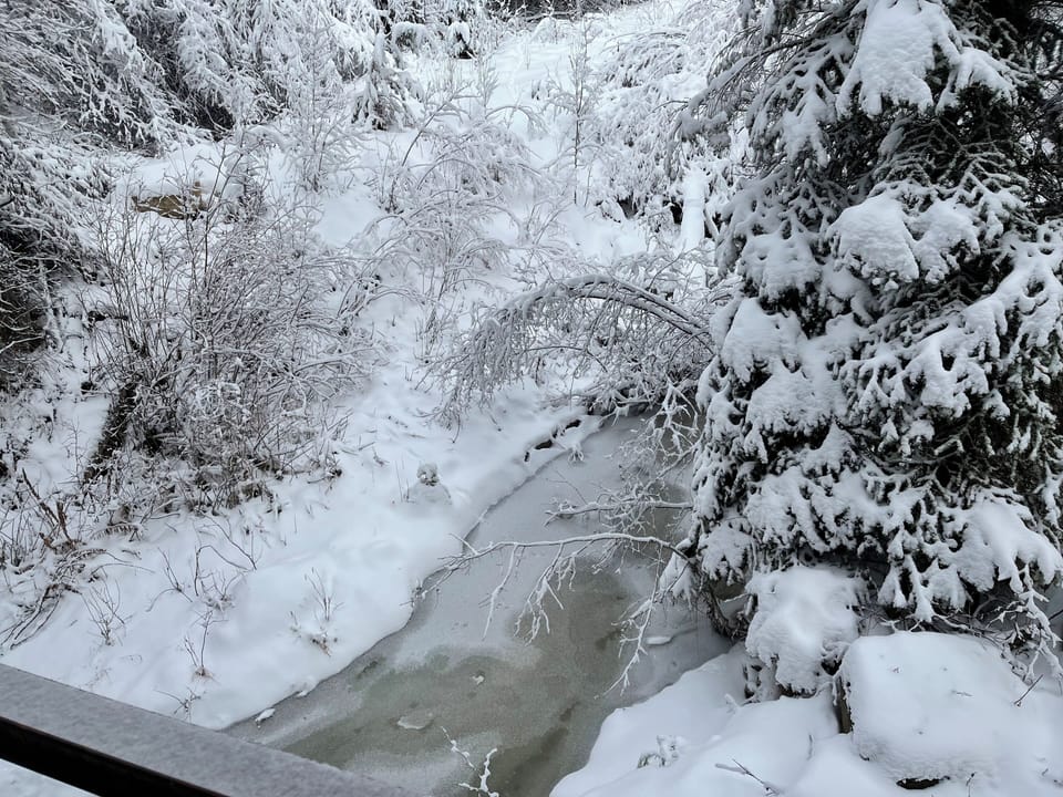 View from property