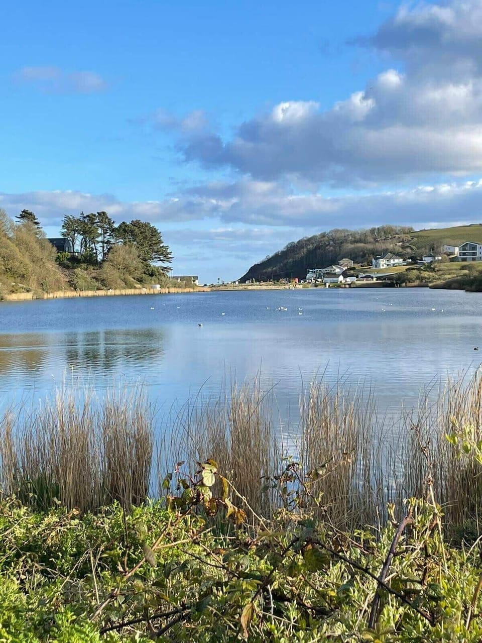 Swanpool Nature Reserve 