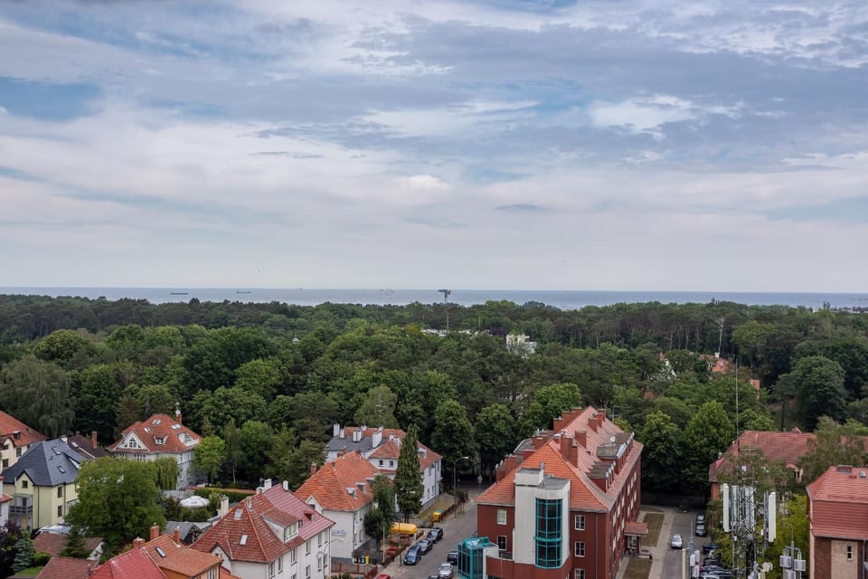 View from the window