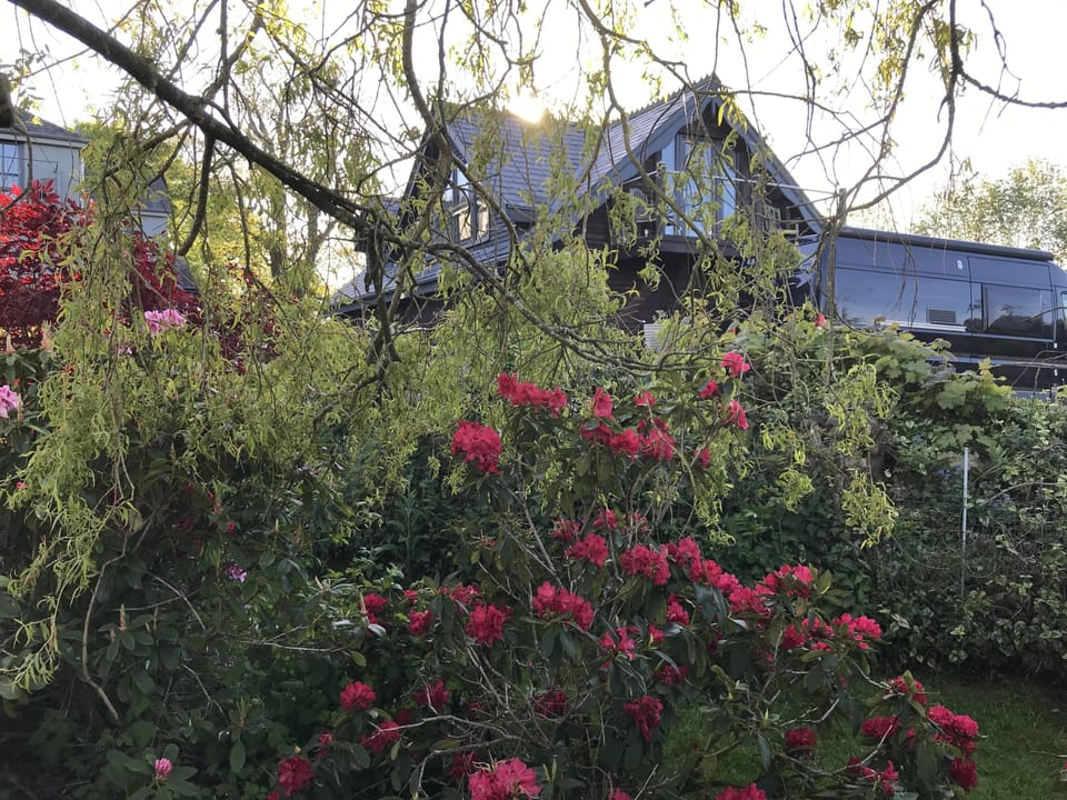 View from House Garden
