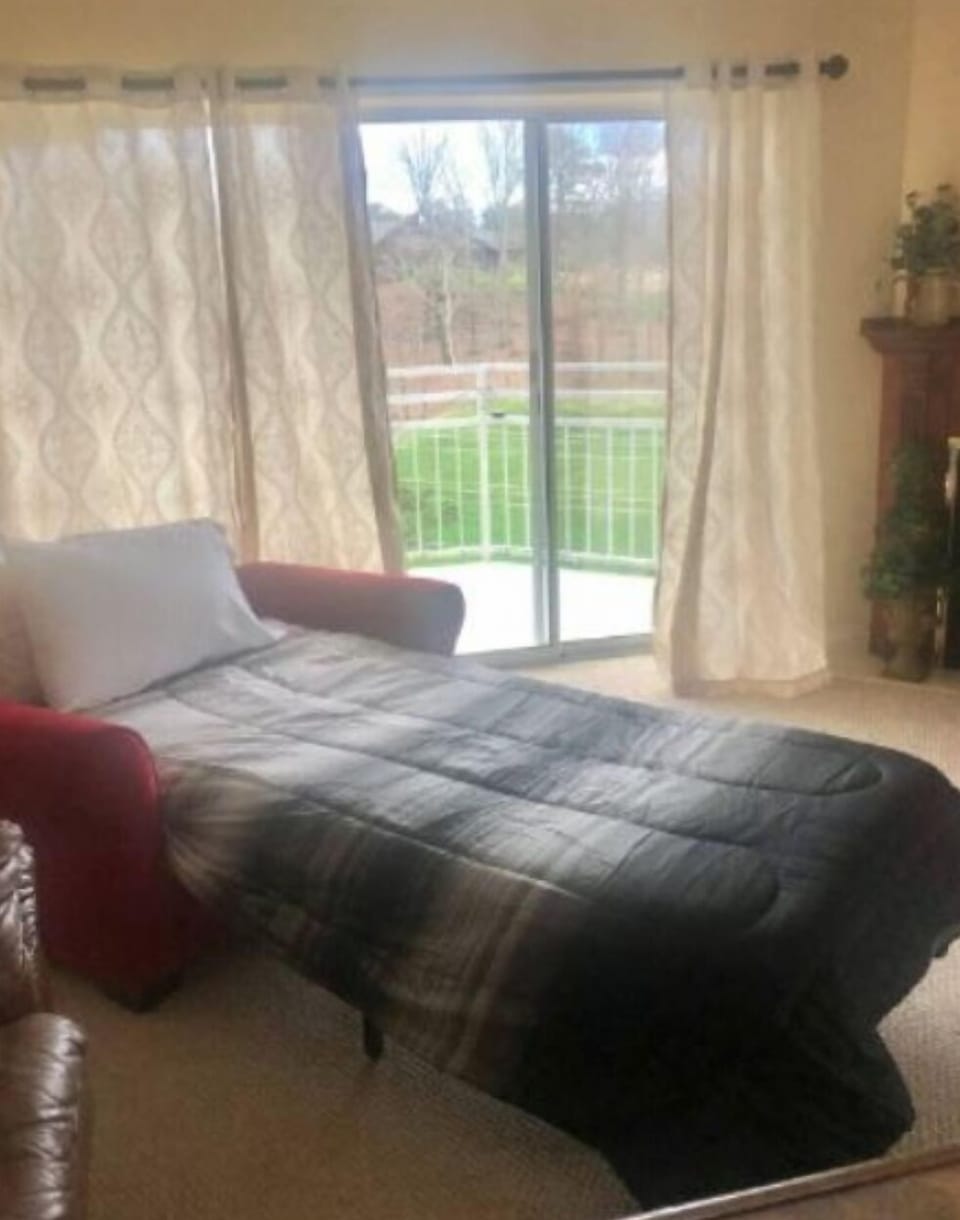 Twin sofa bed for more guests
