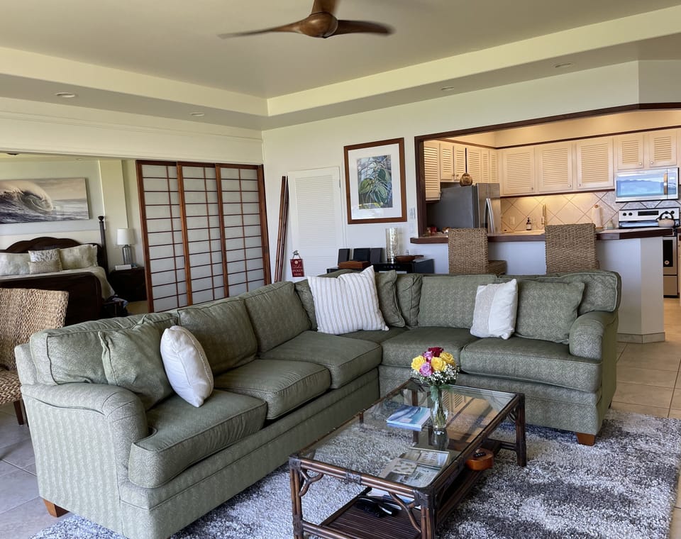 Most Comfy Large Sofa and/or Sofa Bed!