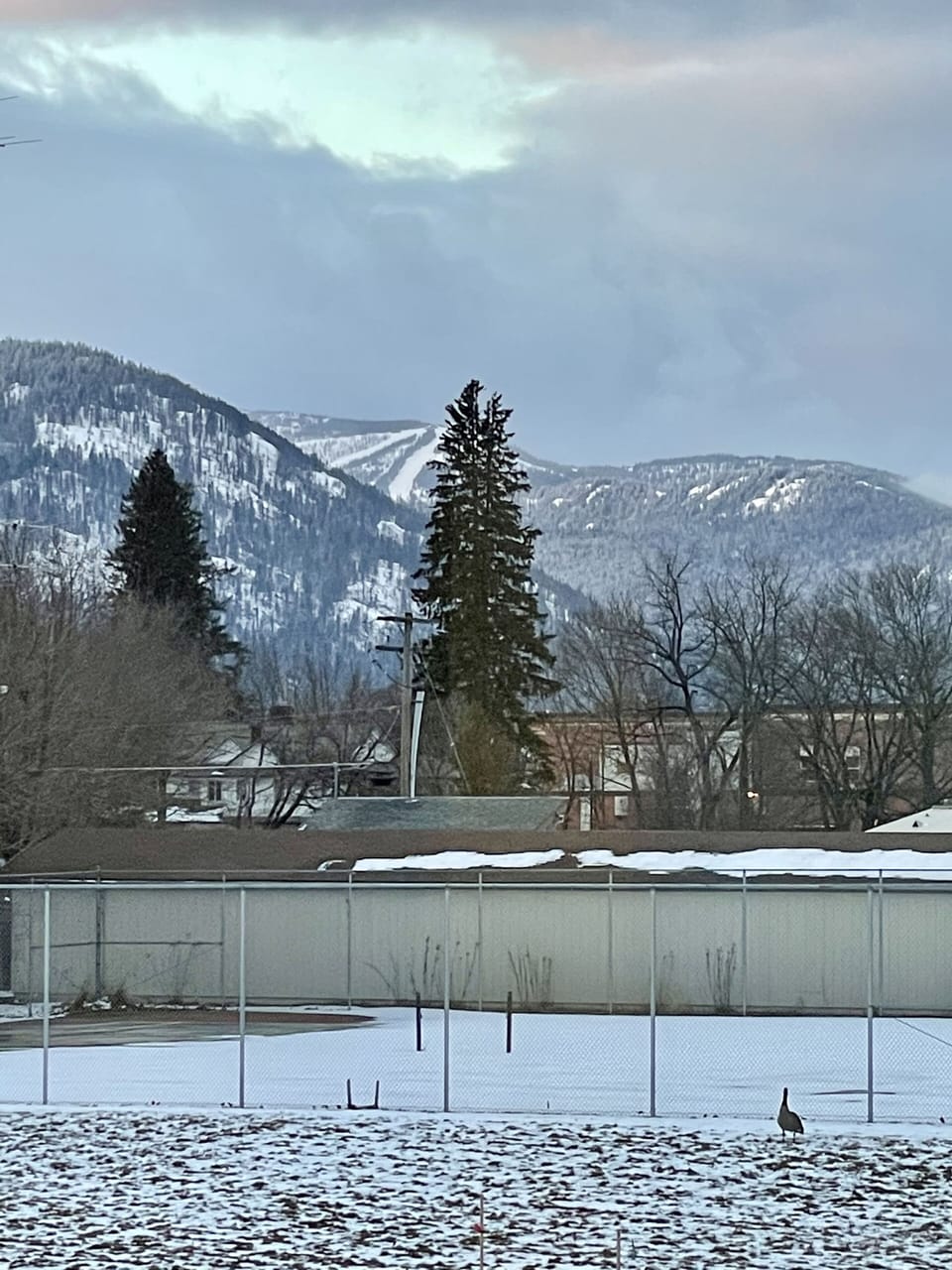 Schweitzer runs view from bedroom