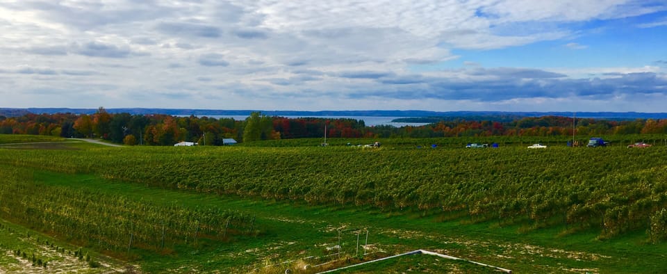 Traverse City Wine Tour views!