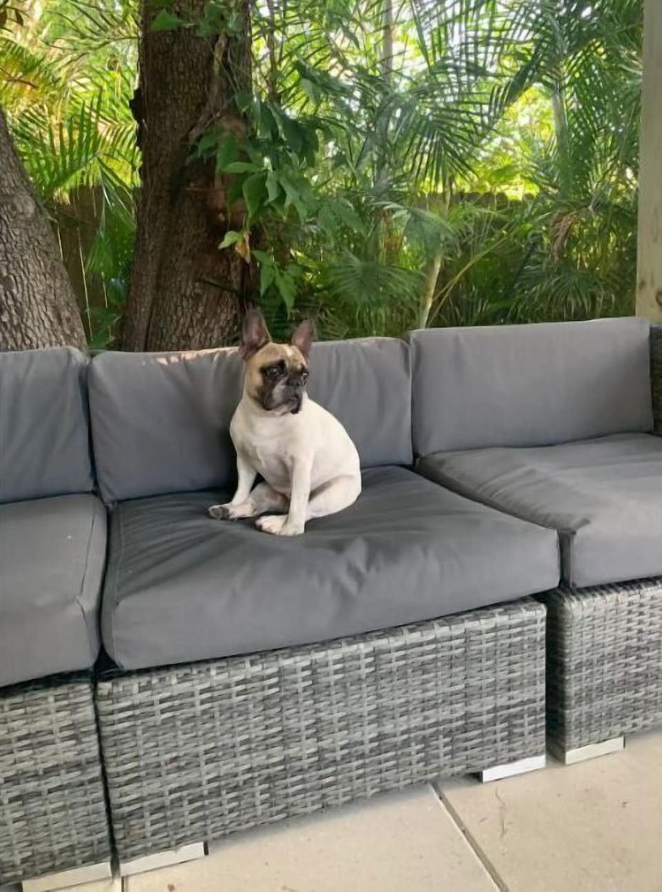 Cali the property manager 🤣