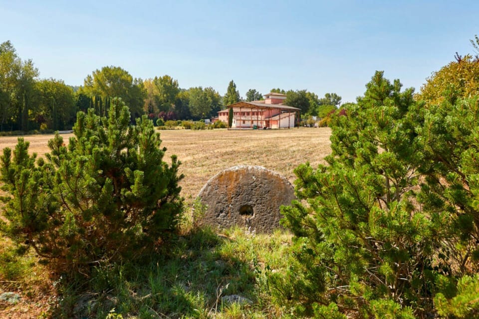 Sky, Plant, Natural Landscape, Tree, Window, Building, Land Lot, House, Grassland, Shrub