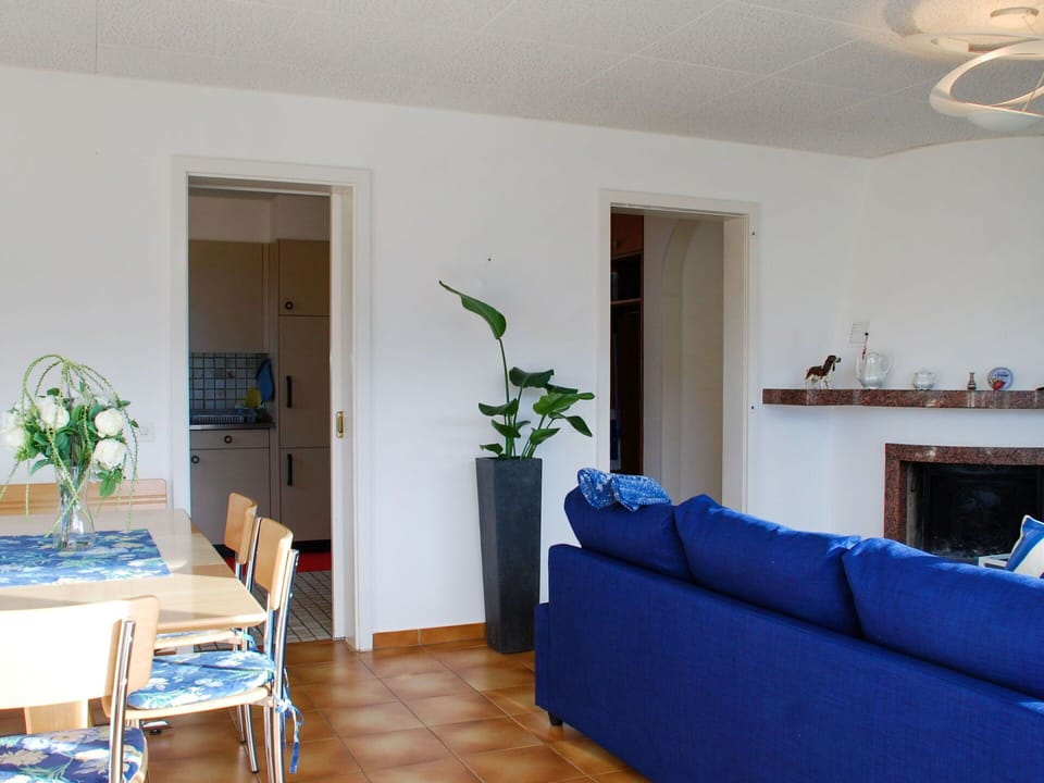 Plant, Table, Property, Houseplant, Flowerpot, Furniture, Couch, Blue, Wood, Interior Design
