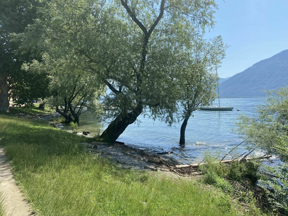 Water, Plant, Water Resources, Sky, Natural Landscape, Tree, Land Lot, Coastal And Oceanic Landforms, Lake, Wood