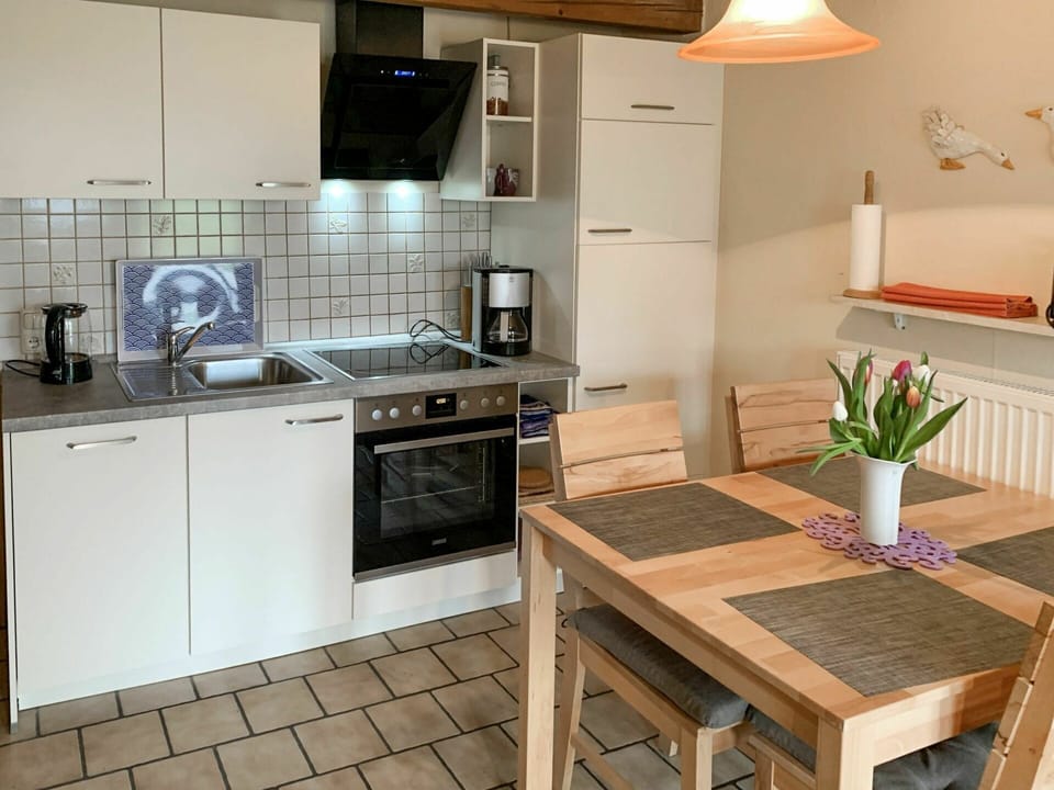 Countertop, Cabinetry, Kitchen Sink, Furniture, Property, Sink, Table, Kitchen, Kitchen Stove, Flower