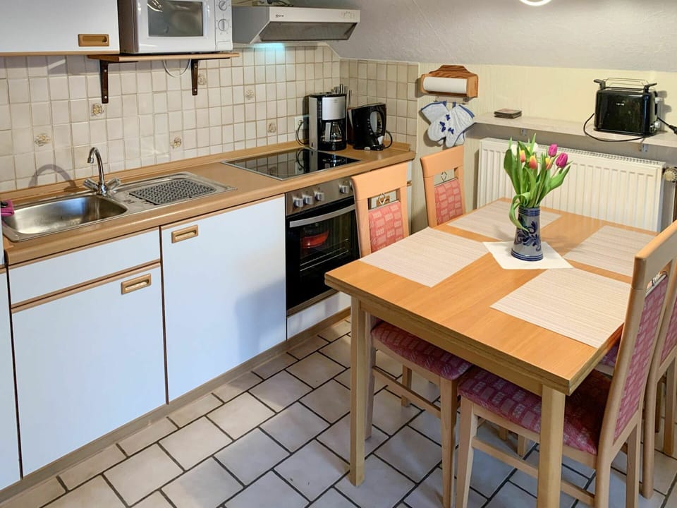 Countertop, Kitchen Sink, Cabinetry, Sink, Property, Tap, Kitchen, Kitchen Stove, Plant, Kitchen Appliance