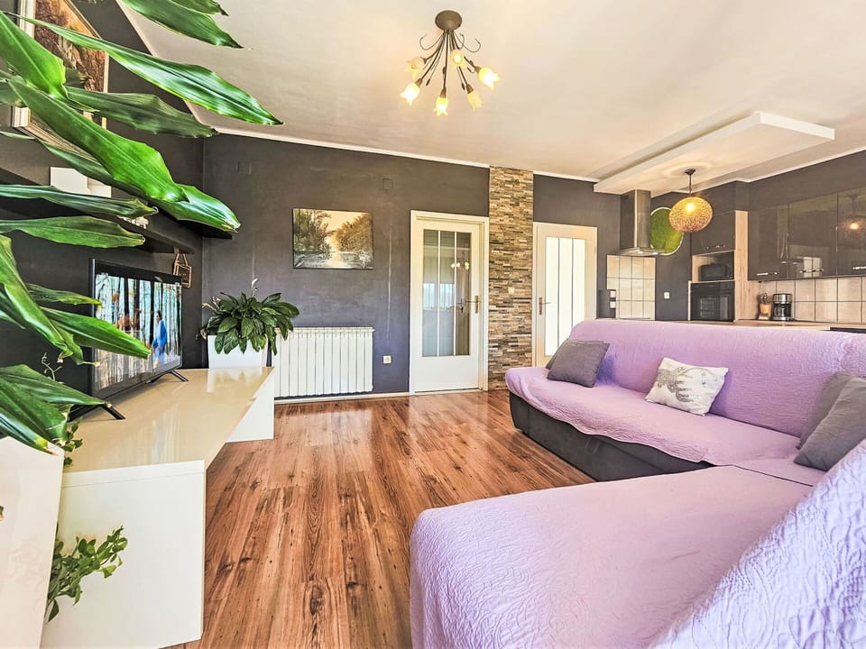 Property, Plant, Picture Frame, Couch, Wood, Interior Design, Flooring, Architecture, Living Room, Floor