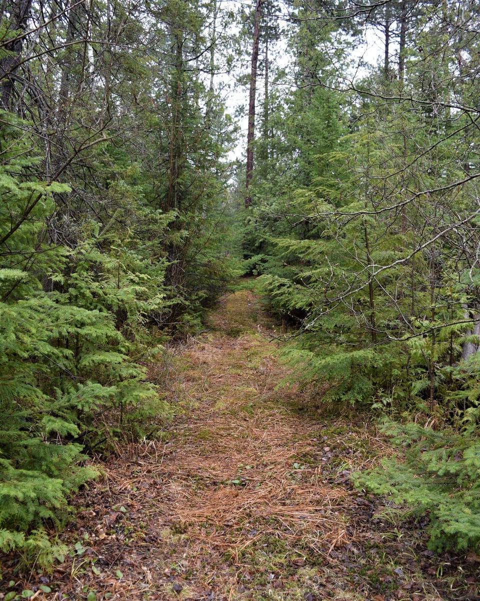 Trail from house to ORV and North County Trail