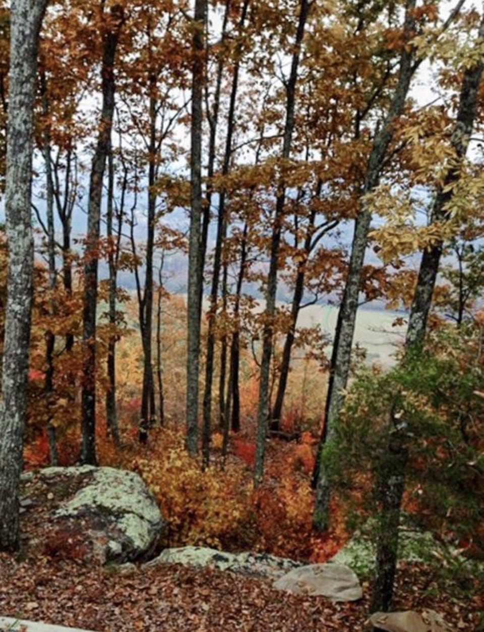 Fall. The leaves are beautiful changing colors.