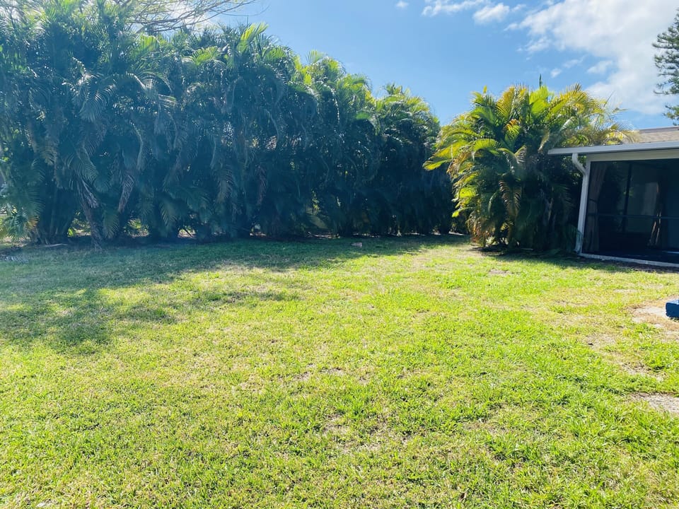 Playing area in backyard.