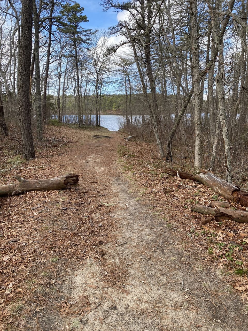 Short walk to Joshua and Micah Ponds