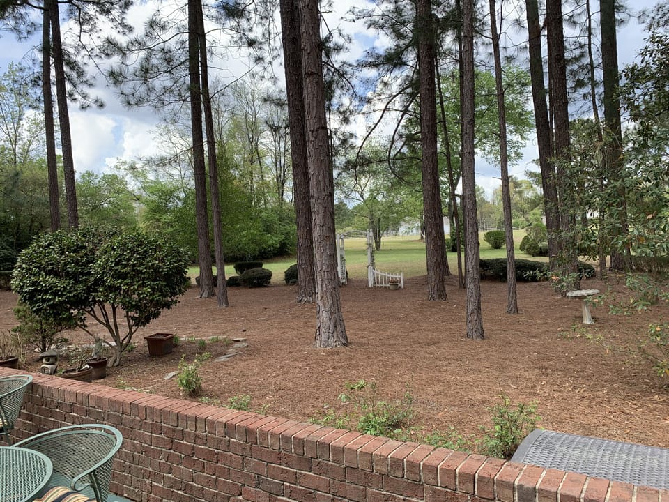 Foxfire Hole #15. Enjoy the wildlife (birds, deer, squirrels) that may appear.