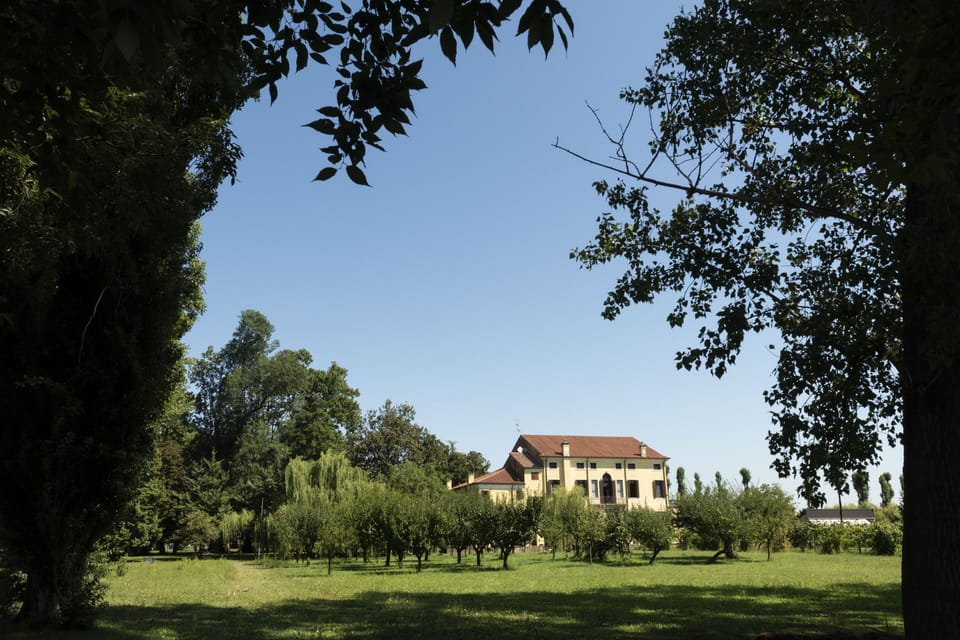 The Villa from the garden