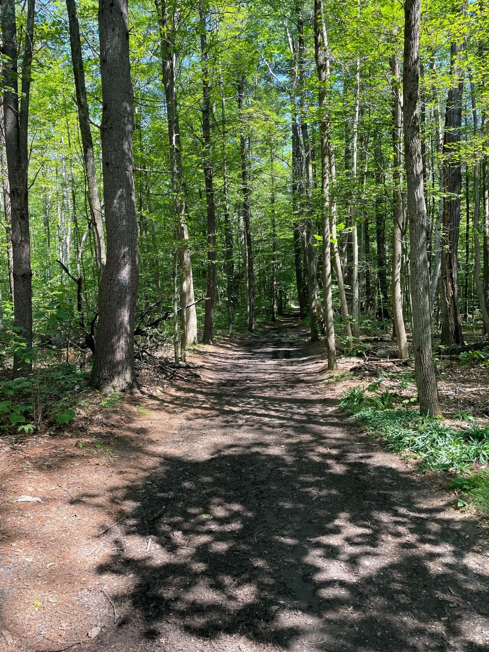 Beautiful walking and hiking trails