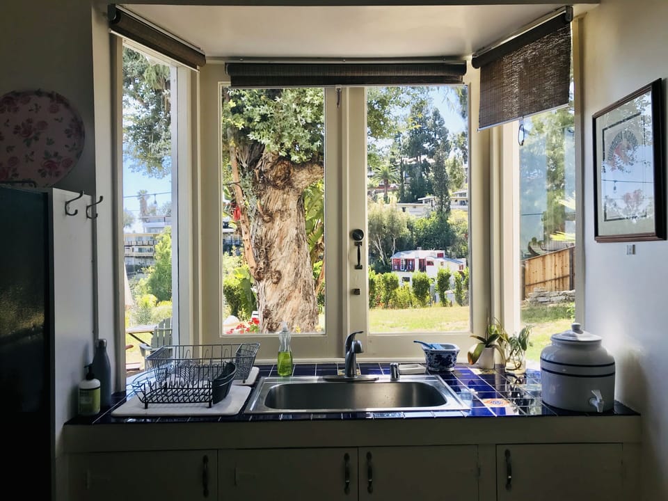 Garden view from kitchen window 