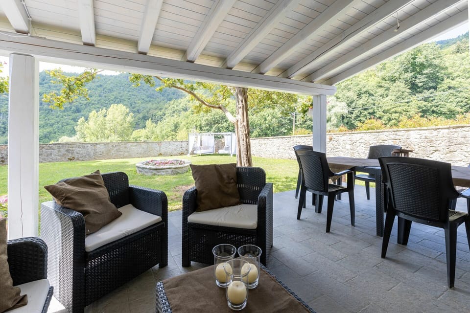 Furniture, Table, Property, Chair, Plant, Tableware, Shade, Interior Design, Tree, Living Room