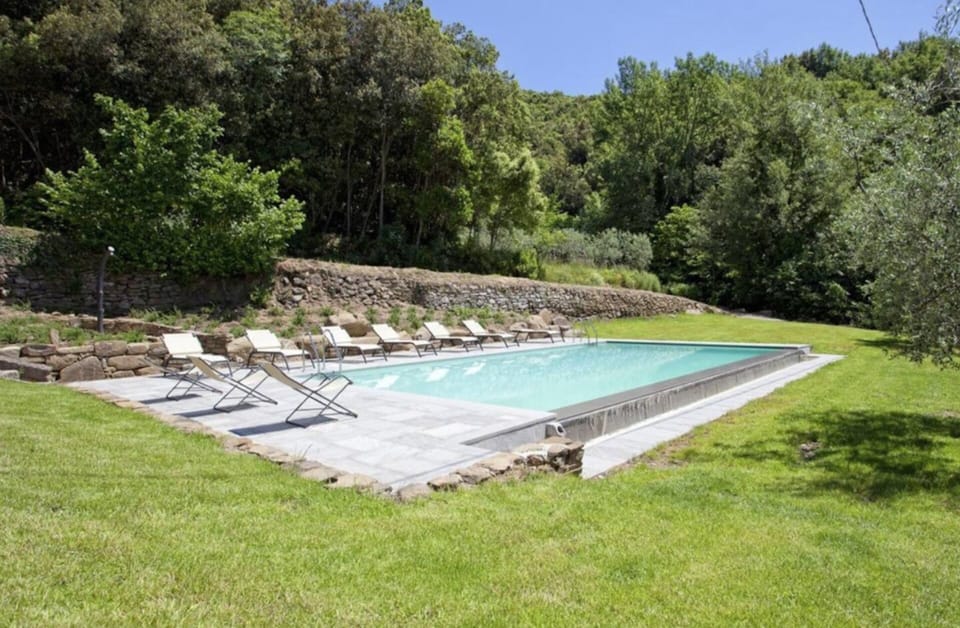 Plant, Property, Plant Community, Swimming Pool, Water, Sky, Shade, Rectangle, Outdoor Furniture, Grass