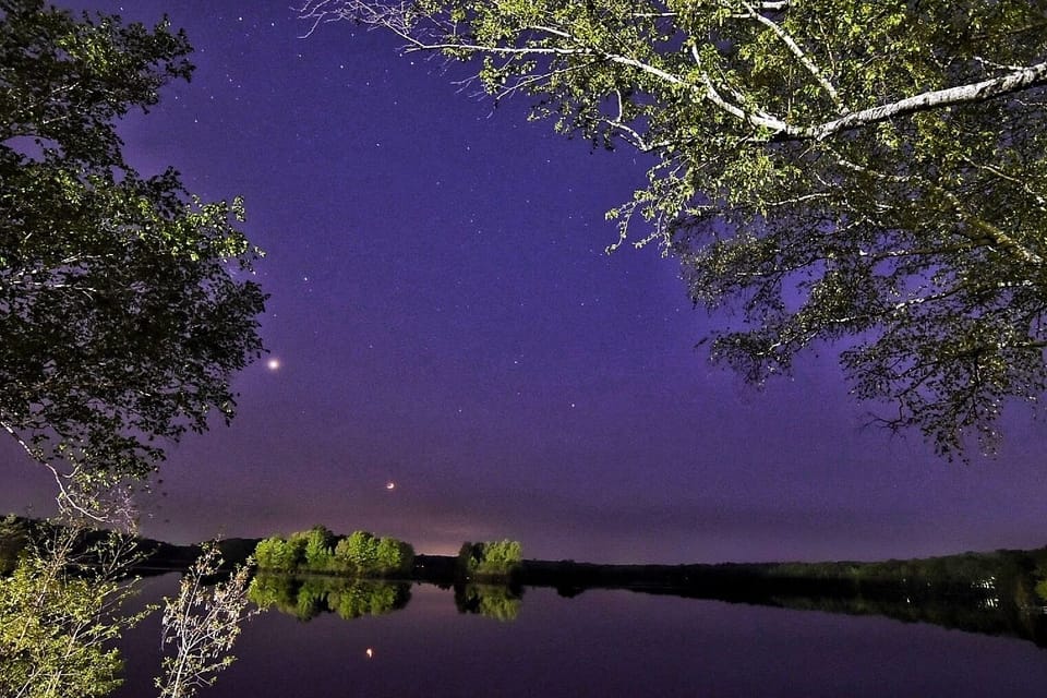 Relax on a bench in Millyard park at night listening to wildlife