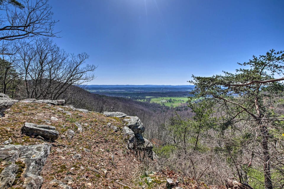 View from Private Backyard
