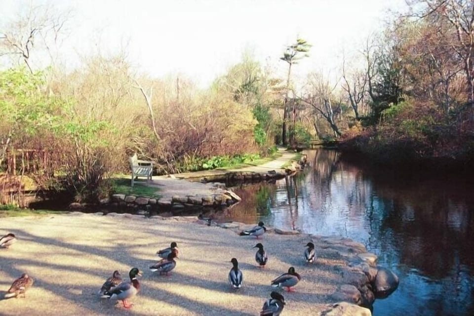 East Hampton Duck Pond 10 minute walk from house
