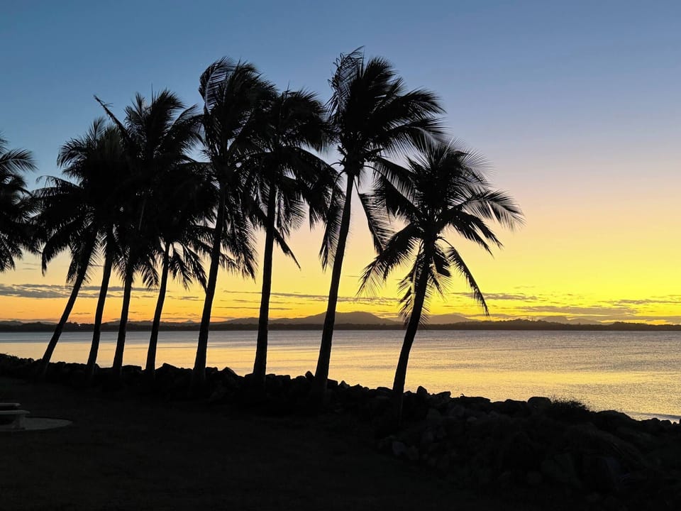 The last of the light through the palms.