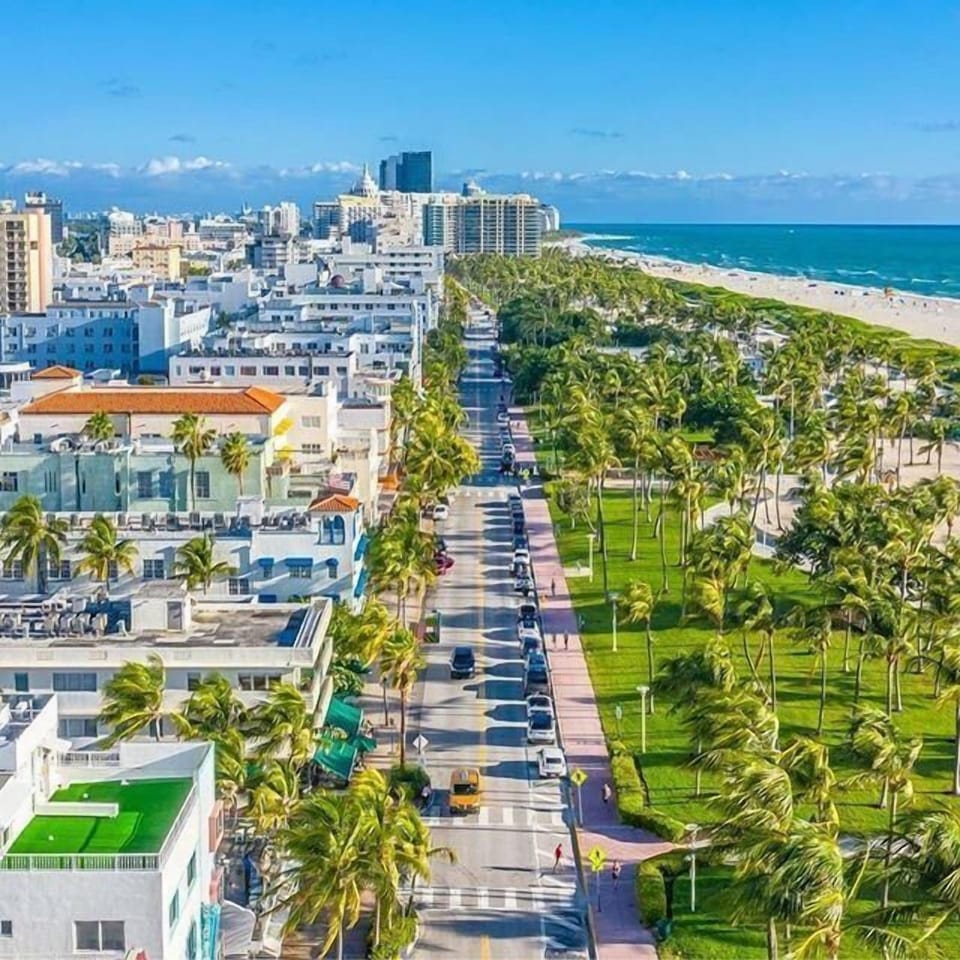 Stroll palm-lined paths and enjoy sun-soaked beachfront mornings.