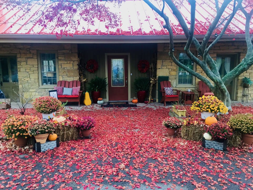 Fall here is breathtaking! The front Japanese Maple is beautiful! 