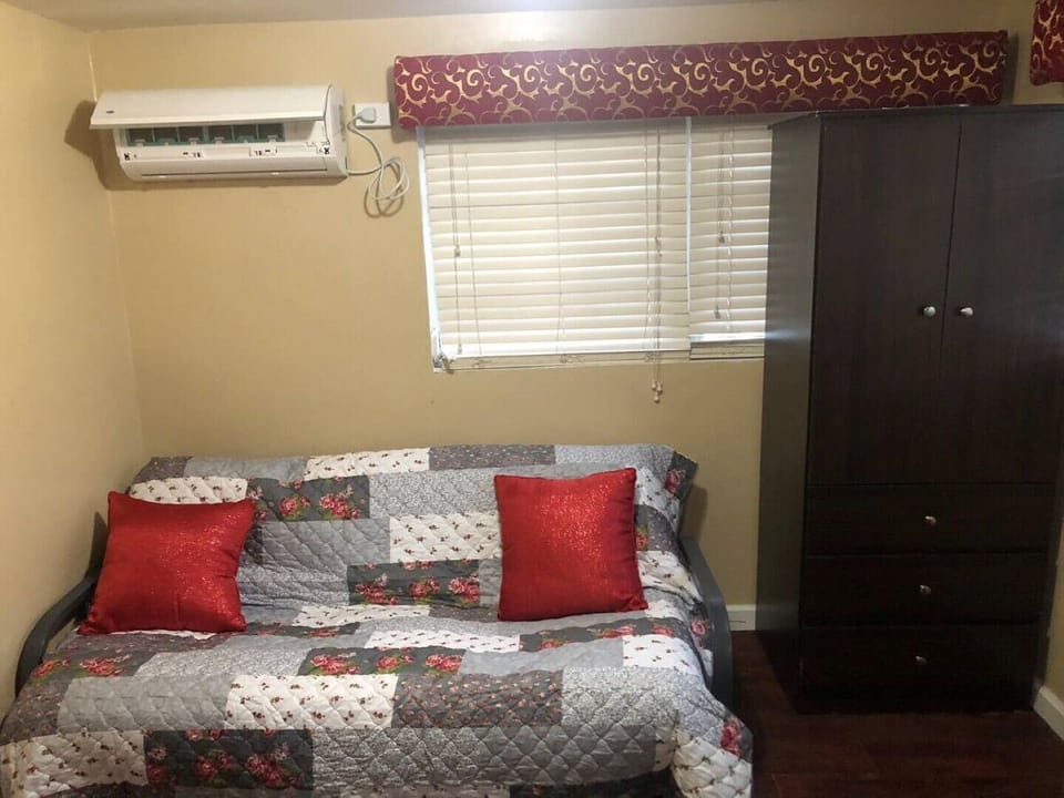 Pullout Couch and Closet