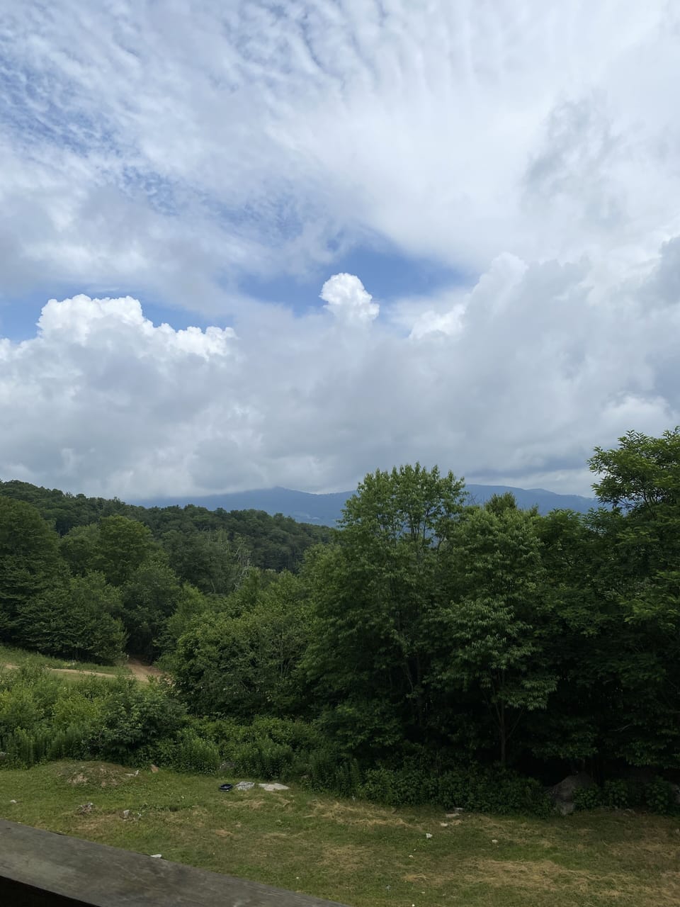 View from property