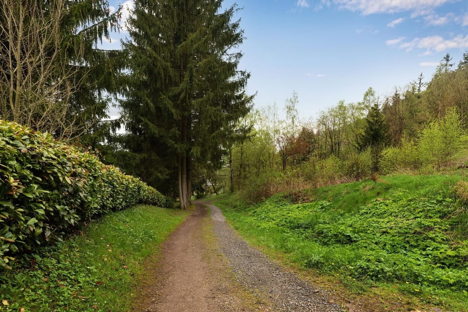 Immediate Surroundings [summer] (<1 km)