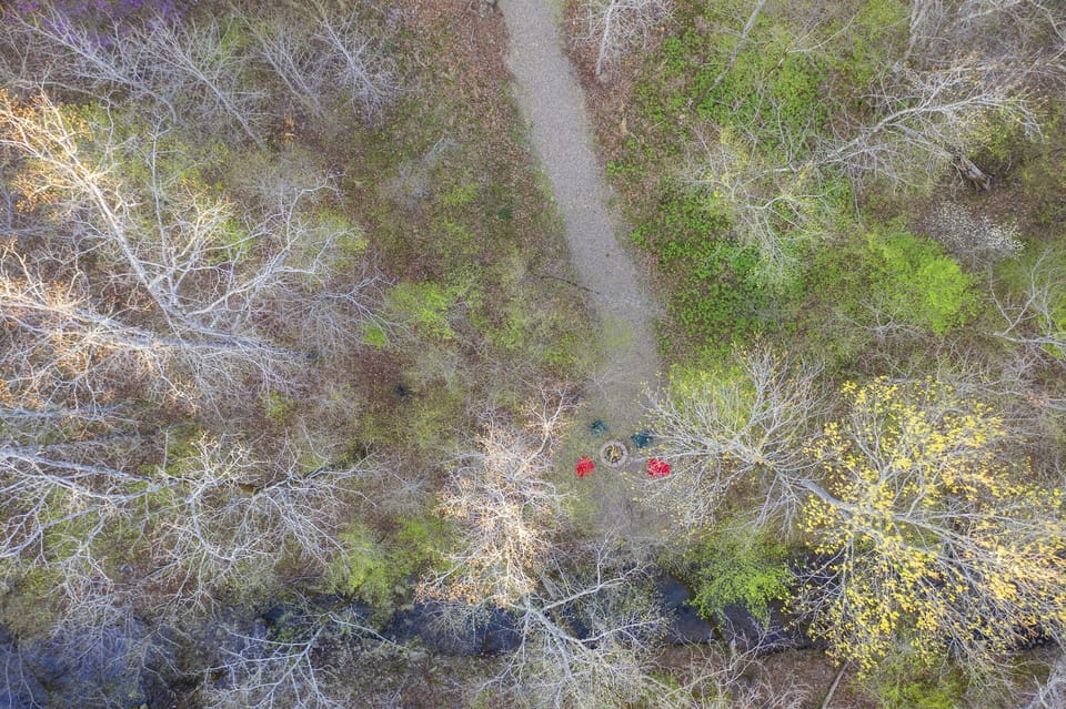 A peaceful walk through the trees brings you to the inviting Creekside firepit—nature’s perfect retreat.